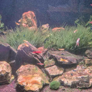 작은연못 리뷰 사진