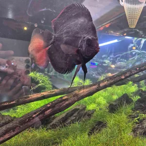 작은연못 리뷰 사진