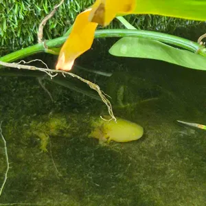 작은연못 리뷰 사진