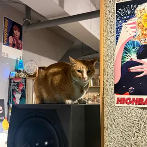 심플책방 리뷰 사진