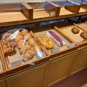 시노퍼 리뷰 사진