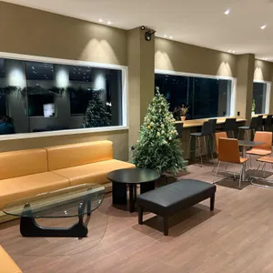 시노퍼 리뷰 사진