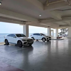 코델리아 리뷰 사진