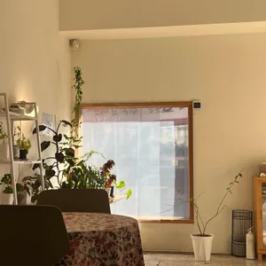 콰이어트 크림티 대표 사진