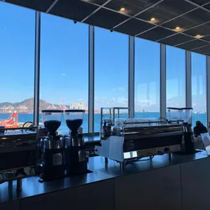 피아크 리뷰 사진