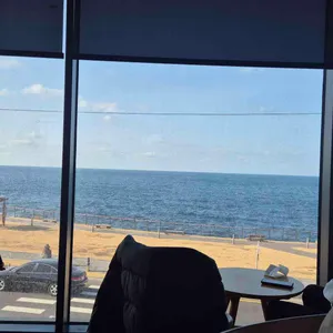 폴 바셋 리뷰 사진