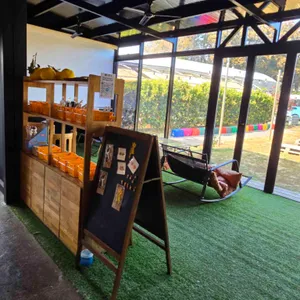 귤냥 감귤밭카페 & 캣닢농장 대표 사진