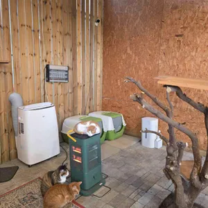 귤냥 감귤밭카페 & 캣닢농장 대표 사진