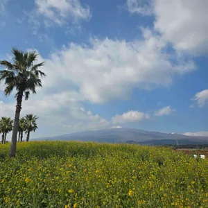 휴애리커피샵 대표 사진