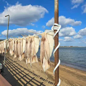 목화휴게소 (스탬프찍는곳) 사진 2