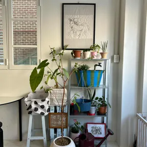 시아로하우스 대표 사진