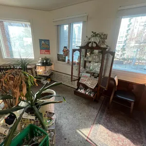 은화 리뷰 사진