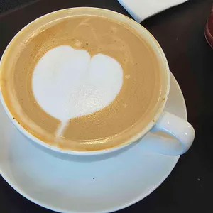 컴프에비뉴 리뷰 사진