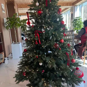 안온 대표 사진