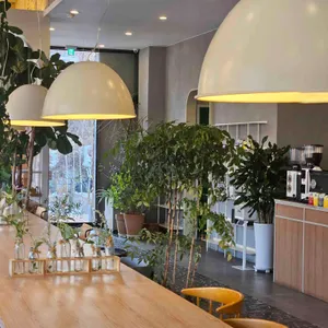 써니포레스트 리뷰 사진