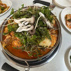 야생토종닭 사진