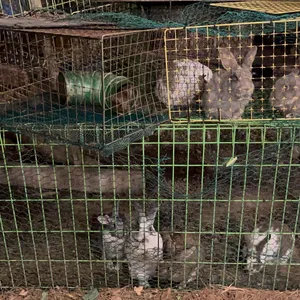 남광농원 리뷰 사진