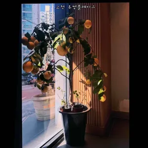 투썸플레이스 대표 사진