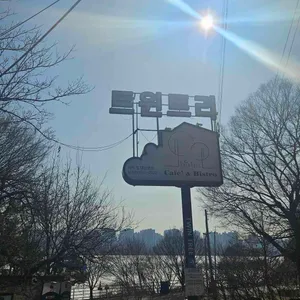 트윈트리 리뷰 사진