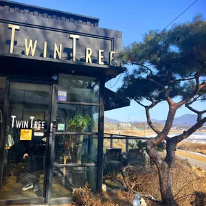 트윈트리 리뷰 사진