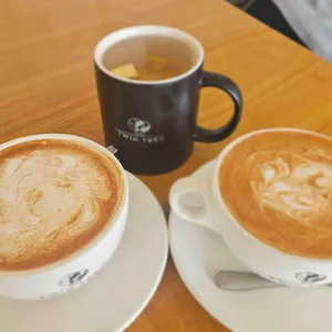 트윈트리 리뷰 사진