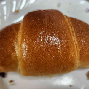 브레드백 사진 1