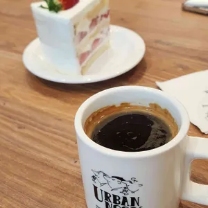 어반누크 사진 2