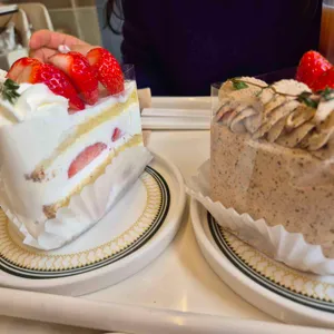 웰하우스 리뷰 사진