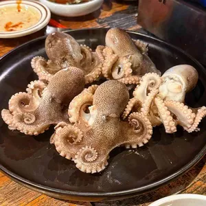 제육의 법칙 사진