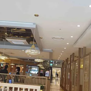 심비디움 리뷰 사진