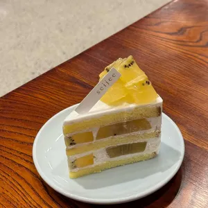 세이지 대표 사진