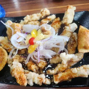 자황 대표 사진