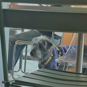 굿띵커피 리뷰 사진