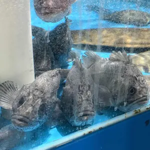 방가네 회포장 사진