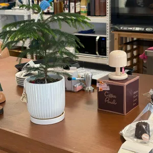 폴커피 리뷰 사진