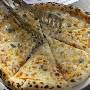 온기 대표 사진