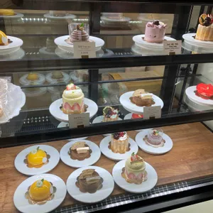 레스베러 리뷰 사진