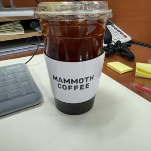 매머드익스프레스 대표 사진