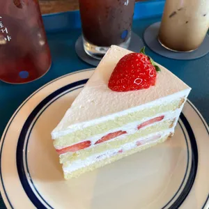 어나더블루 사진