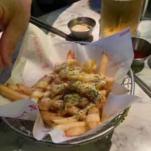 개집비어 대표 사진