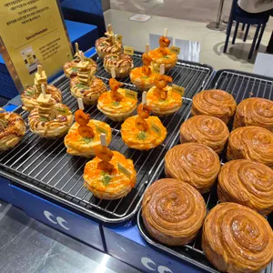 포컬포인트 사진