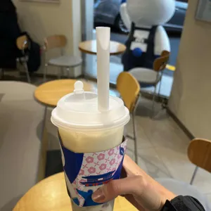 차백도 대표 사진