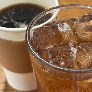 커피나무 사진 1