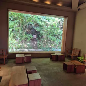 고사리커피 대표 사진