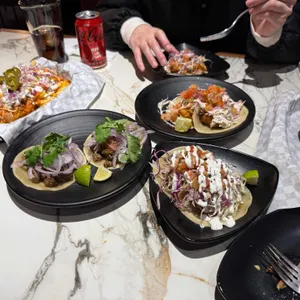 바토스앤폴리스 사진