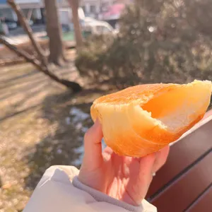 토끼네빵 대표 사진