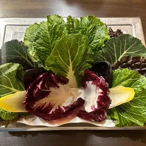 진성관 대표 사진