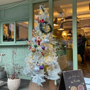 파이홀 리뷰 사진