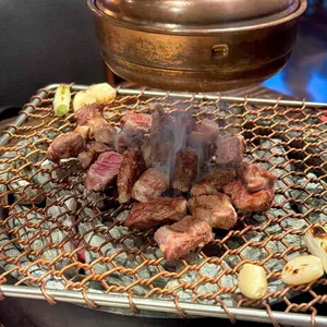 양누리 대표 사진