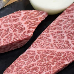 목향 대표 사진